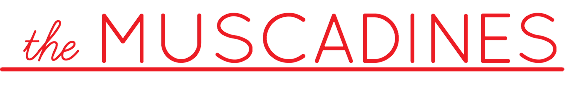  the MUSCADINES
